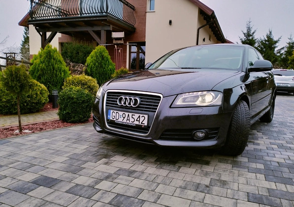 Audi A3 cena 16900 przebieg: 320000, rok produkcji 2008 z Karczew małe 466